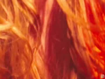 xxx kleasure cam f all day