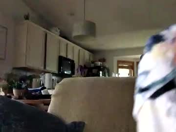 xxx dconstruction cam m all day