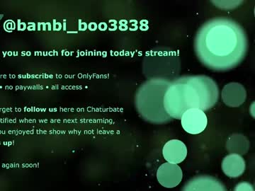 xxx bambi_boo3838 cam c all day