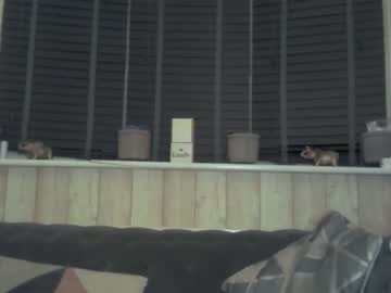 xxx uk_str8ass cam c all day